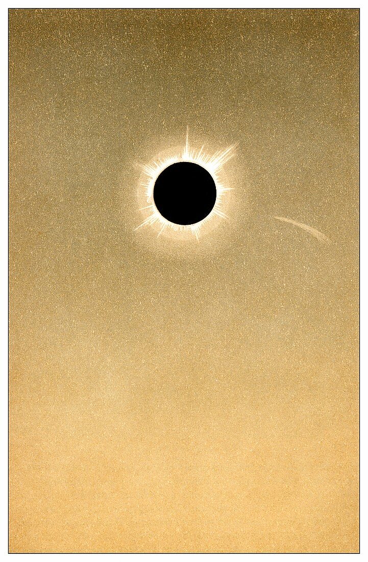 Total solar eclipse of 1882 and comet