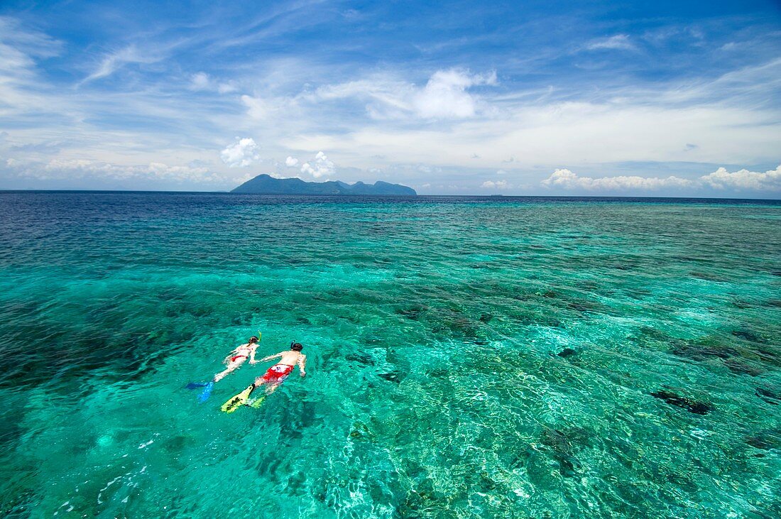 Couple snorkelling over a reef