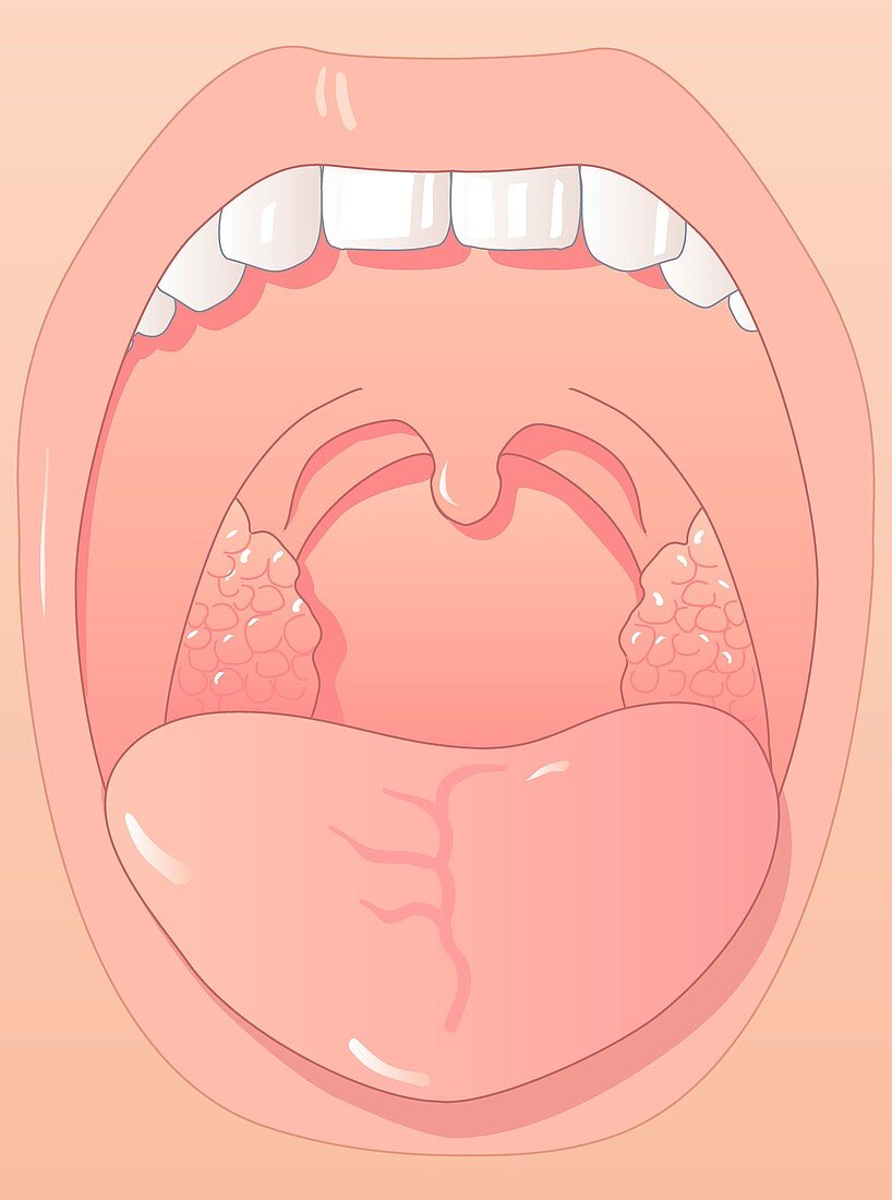 Healthy mouth,artwork