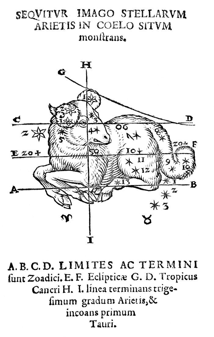 Constellation of Aries,1587 artwork