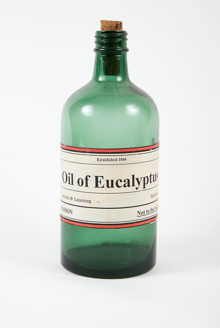 Antique eucalyptus oil bottle