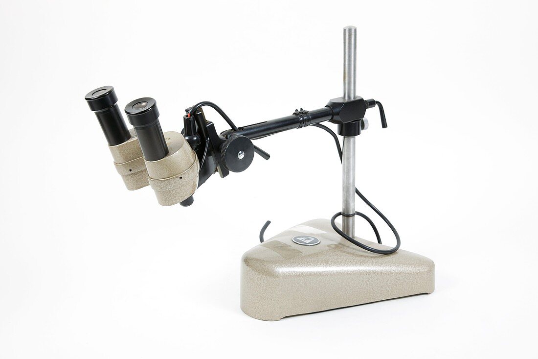 Dissecting microscope