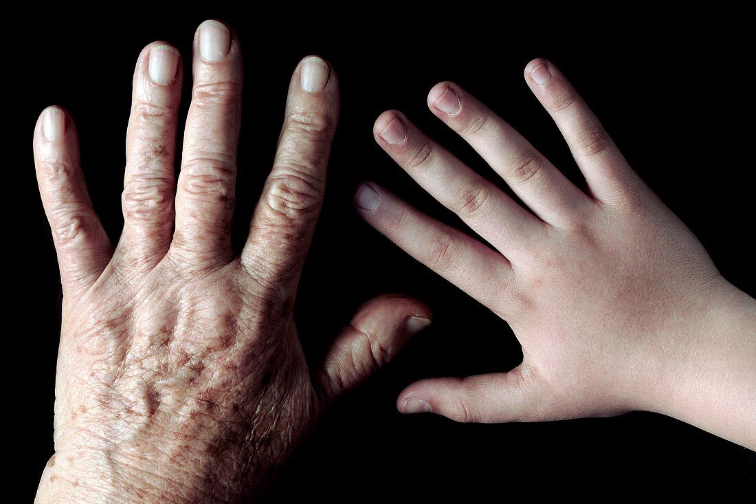Old and young hands