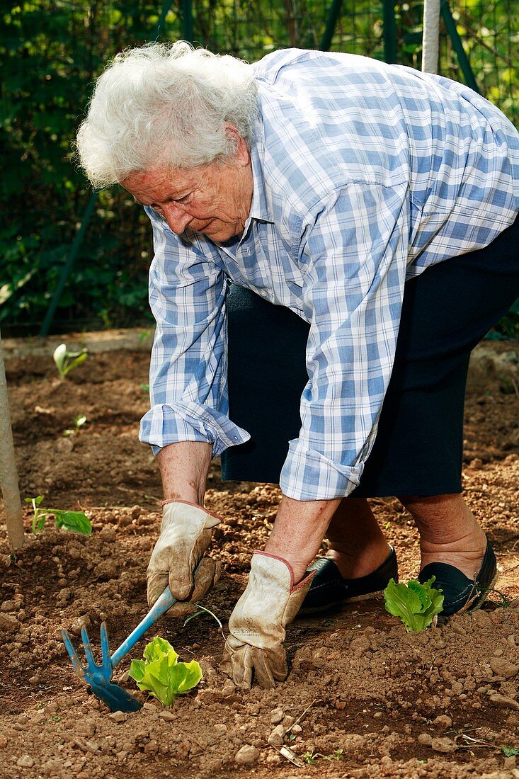 Elderly lady gardening