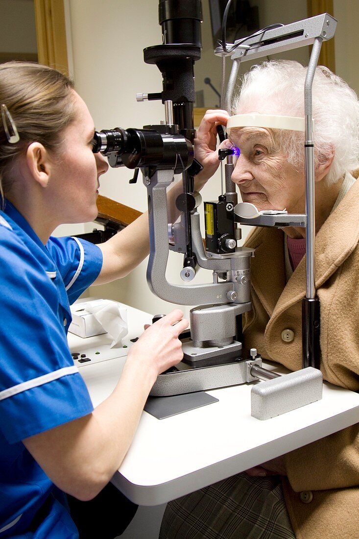 Ophthalmic examination