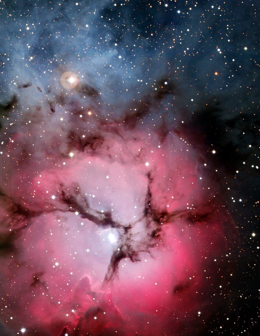 Trifid nebula (M20)