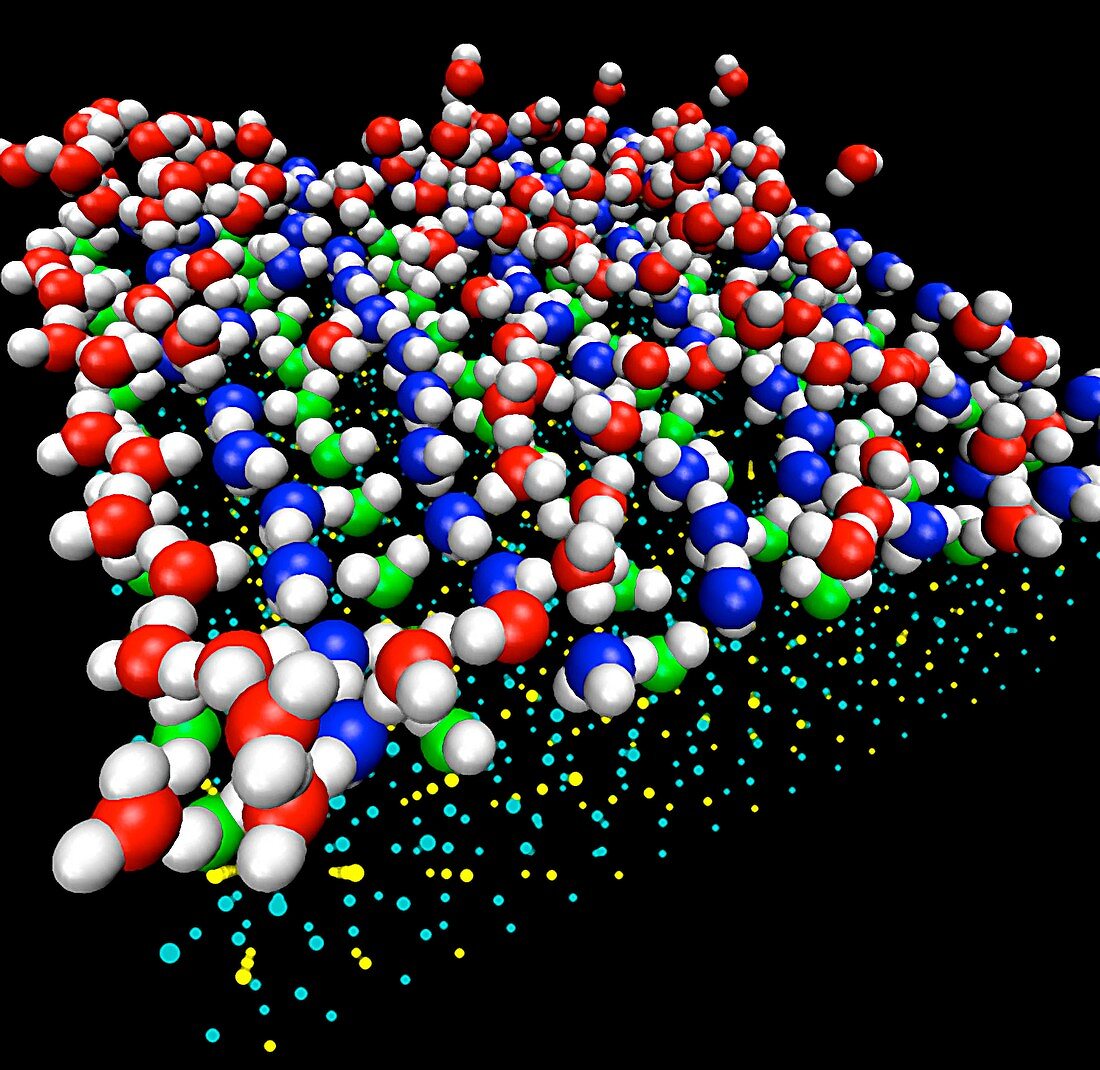 Surface water on catalyst,simulation