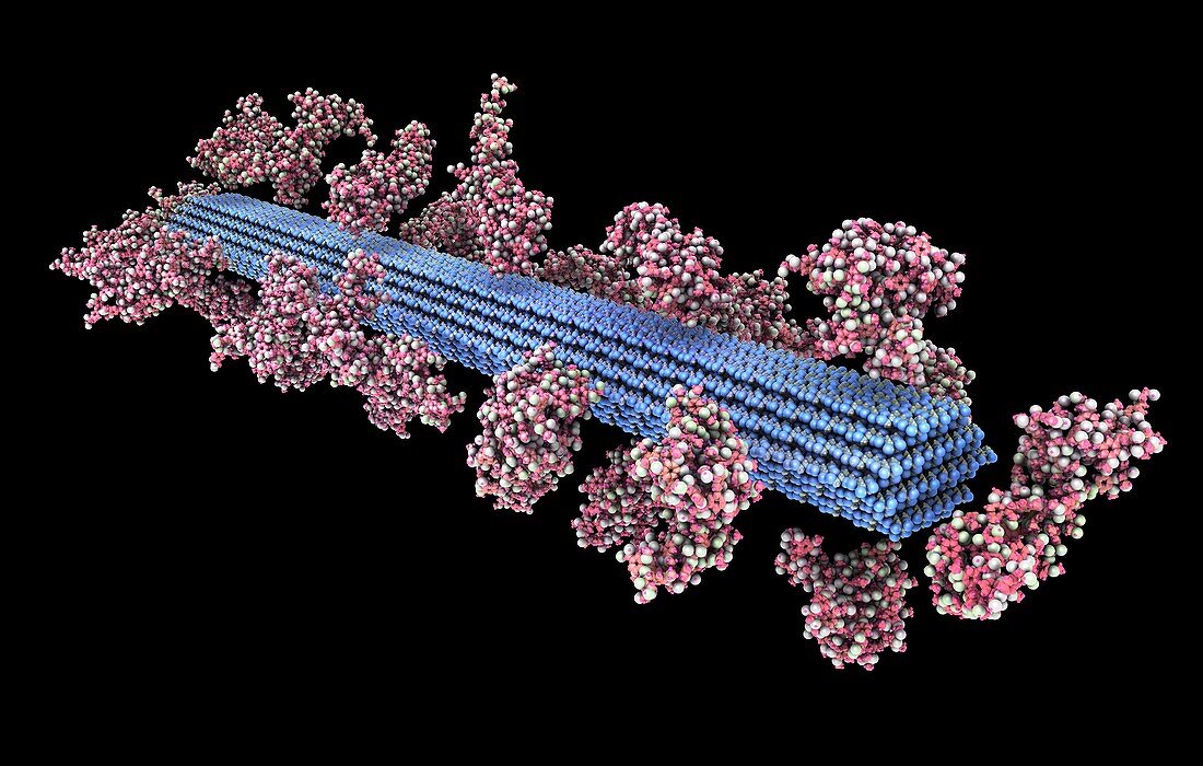 Bioenergy cellulose simulation