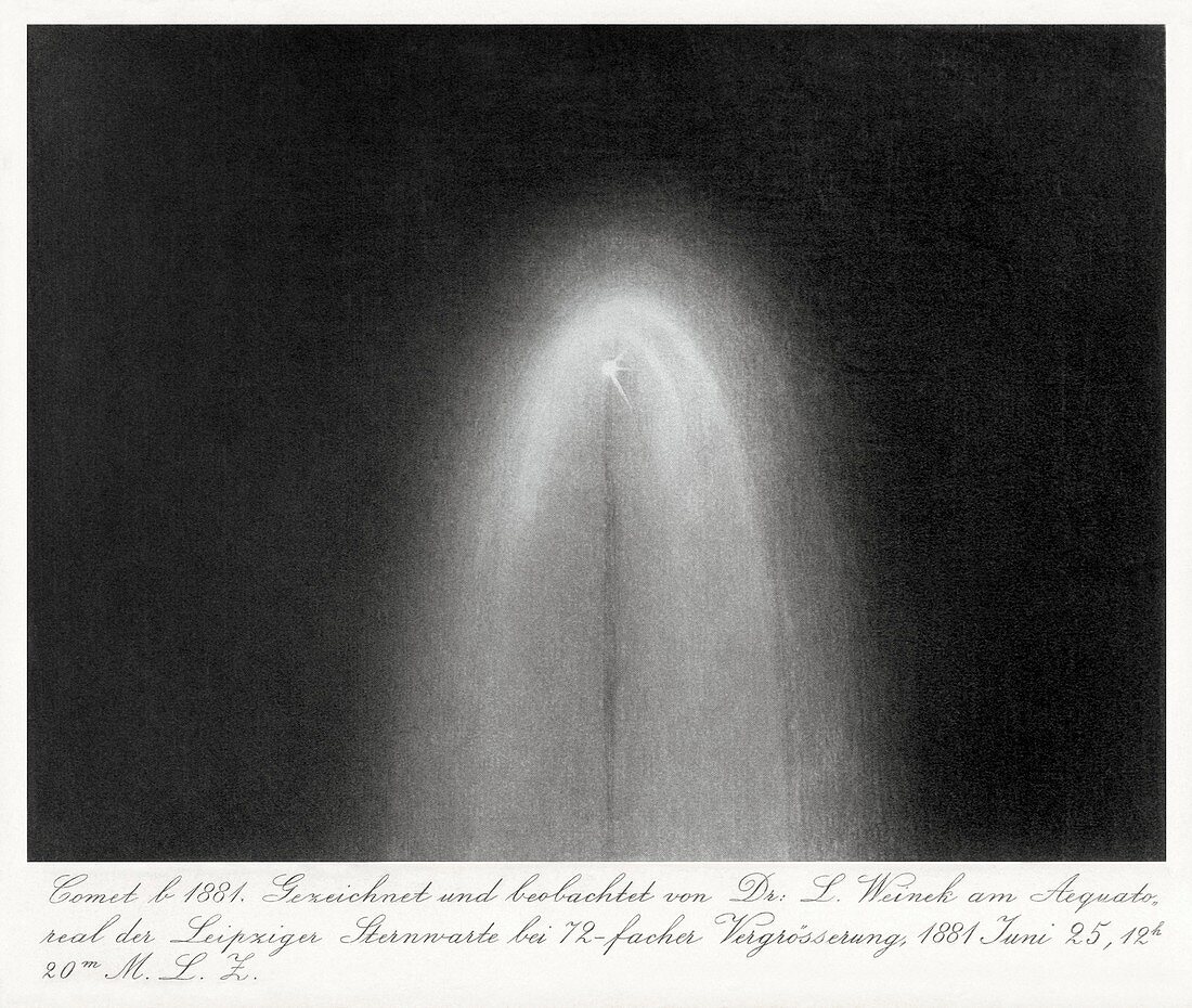Drawing of the Great Comet of 1881