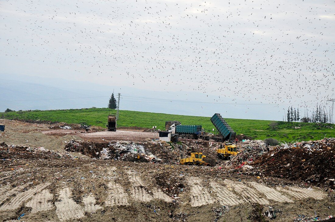 Landfill tractors spread deposited waste