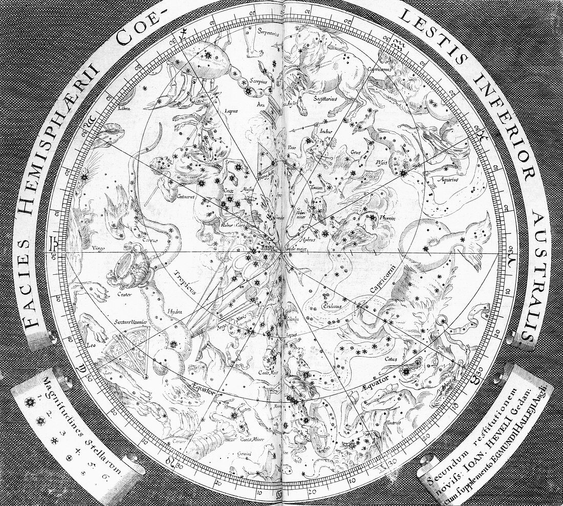 Southern constellations,1696 artwork