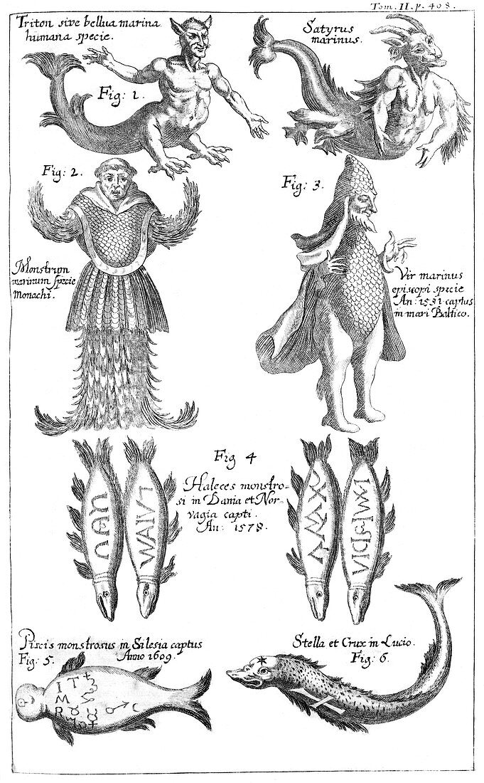 Sea monsters,1696 artwork