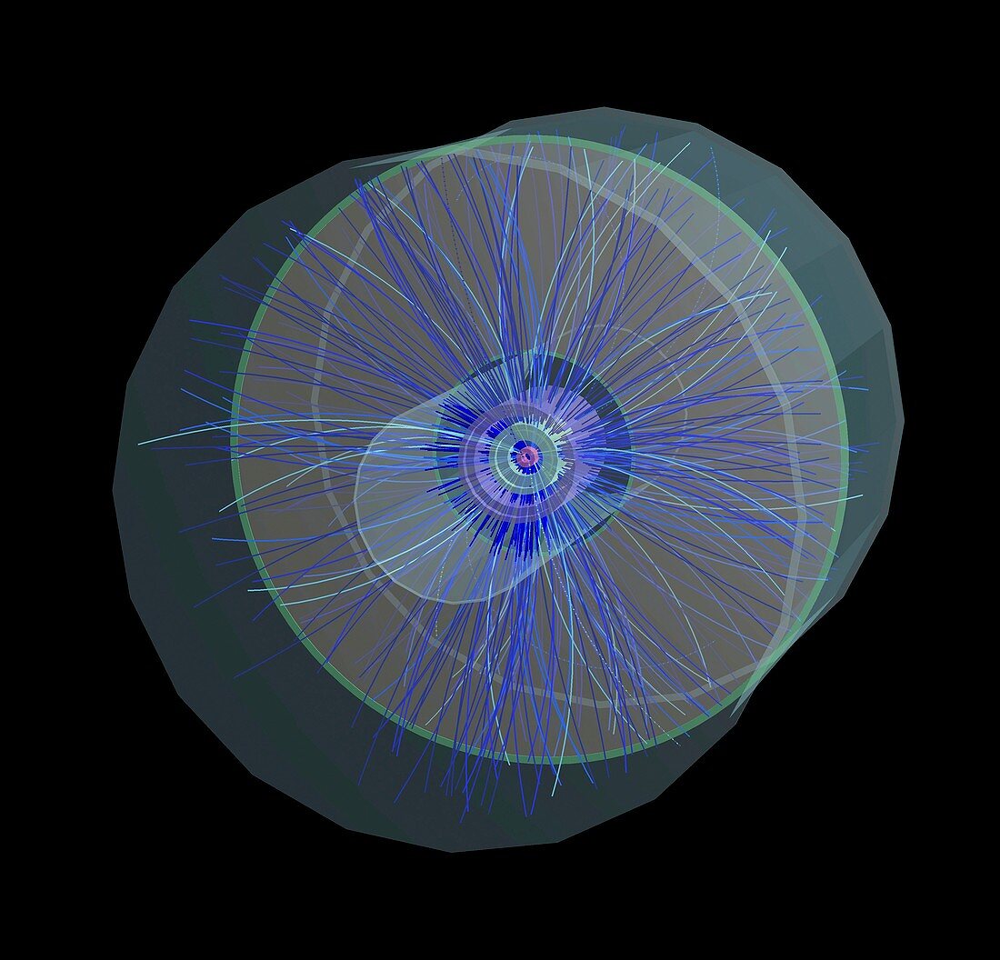 Lead ion collisions