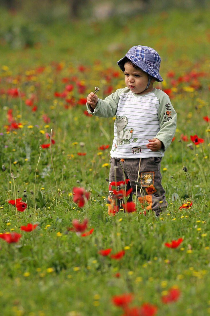 Toddler in a field of flowers