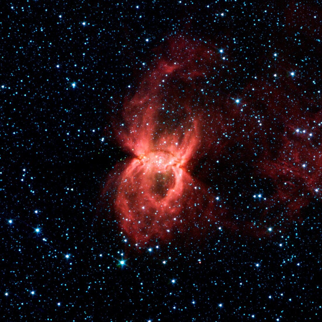 Black widow nebula,infrared image