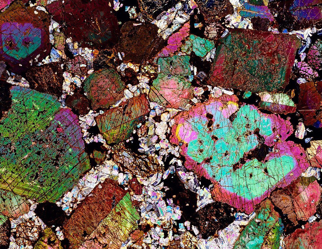Leucitite mineral,light micrograph