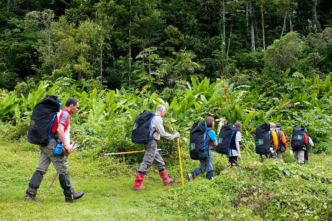 Rainforest educational mission