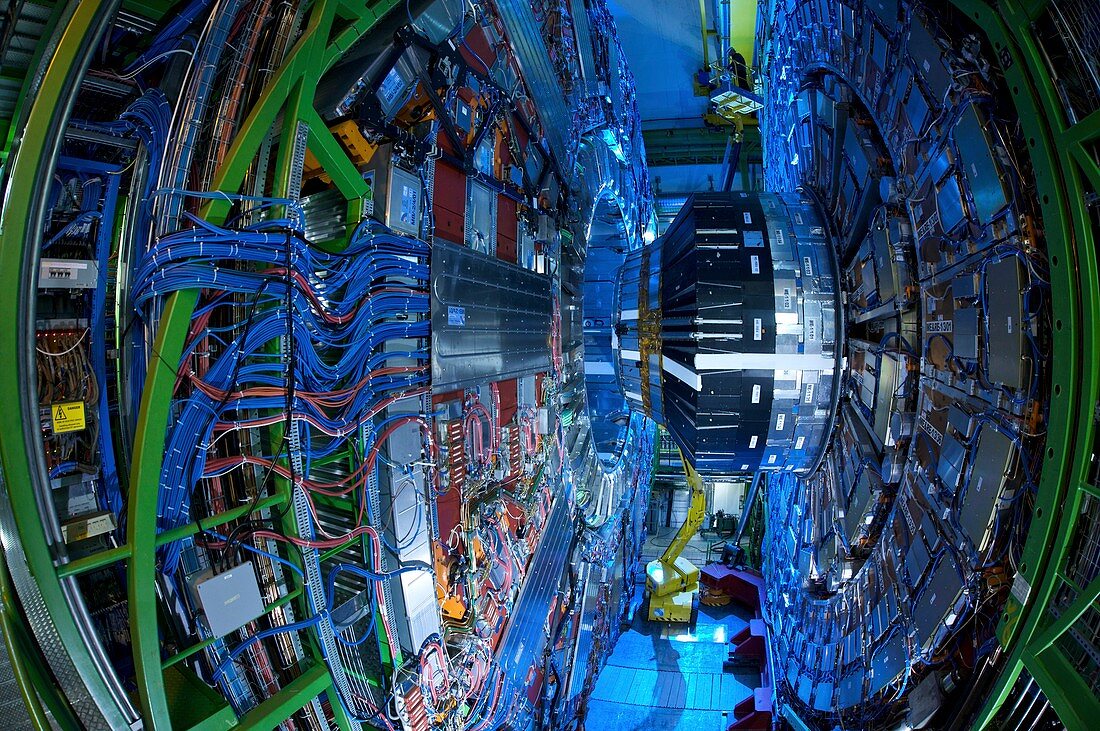 CMS detector,CERN