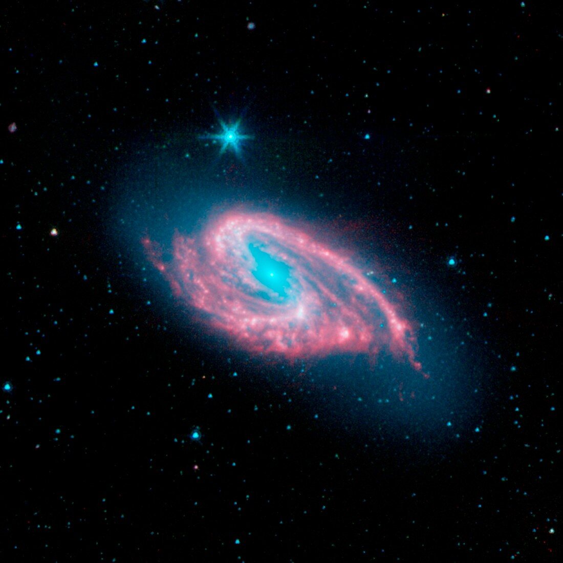 Spiral galaxy M66,infrared image