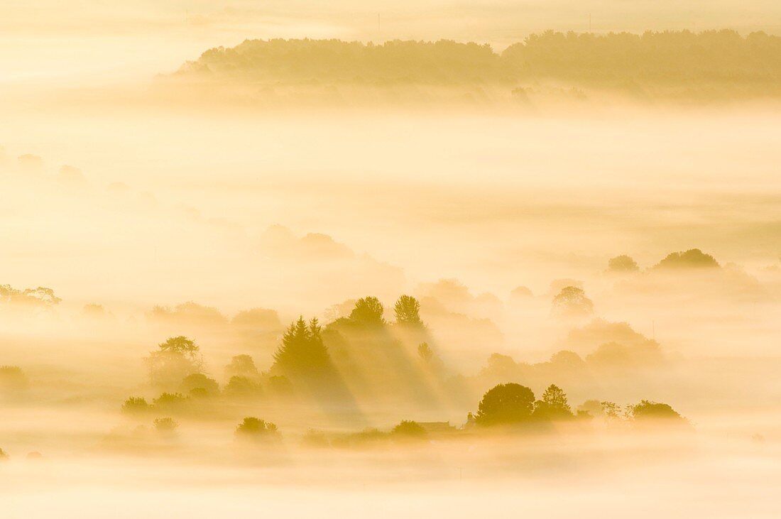 Morning mist over farmland