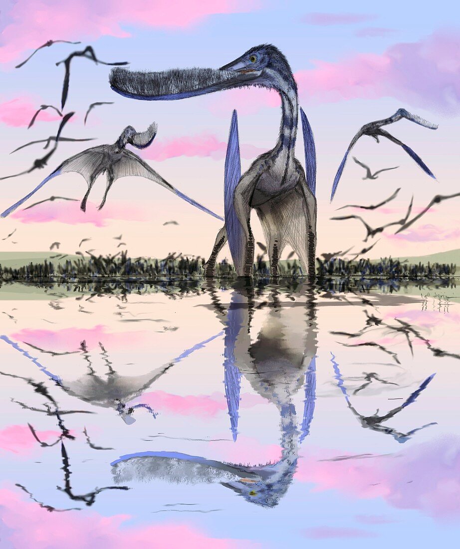 Pterosaur,Pterodaustro,artwork