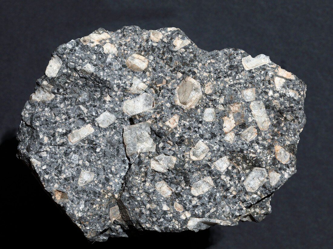 Anorthite in andesite – Bild kaufen – 11594998 ❘ Science Photo 