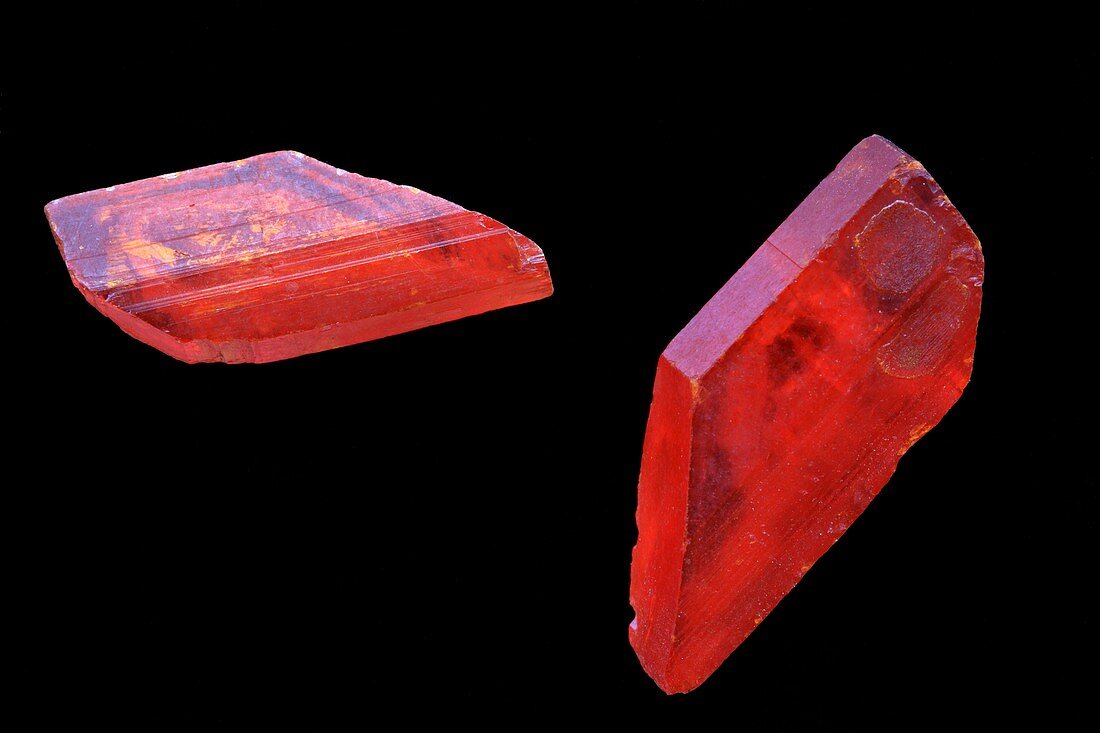 Tartaric acid crystals