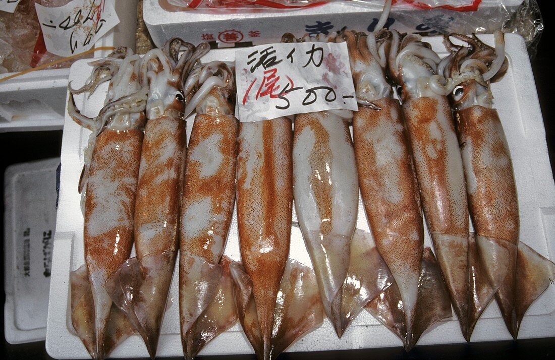 Tokyo fish market