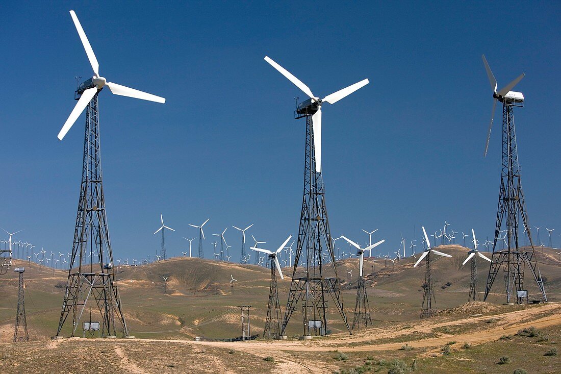 Tehachapi Pass Wind Farm