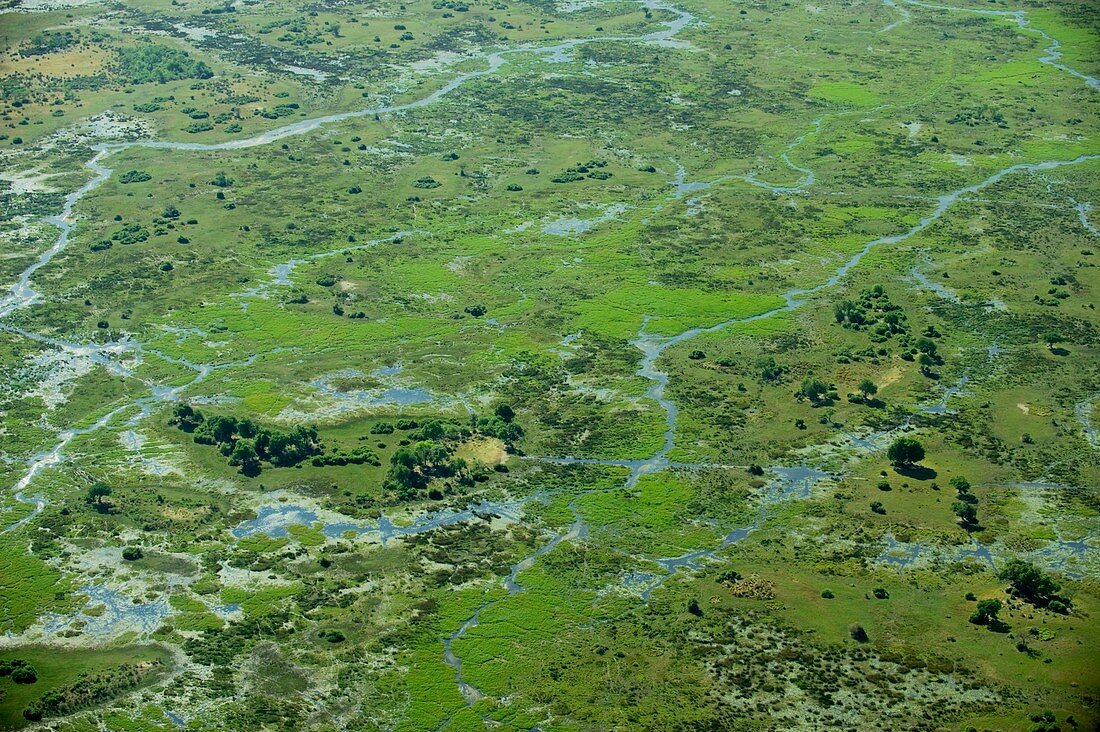 Okavango delta,Botswana,aerial view