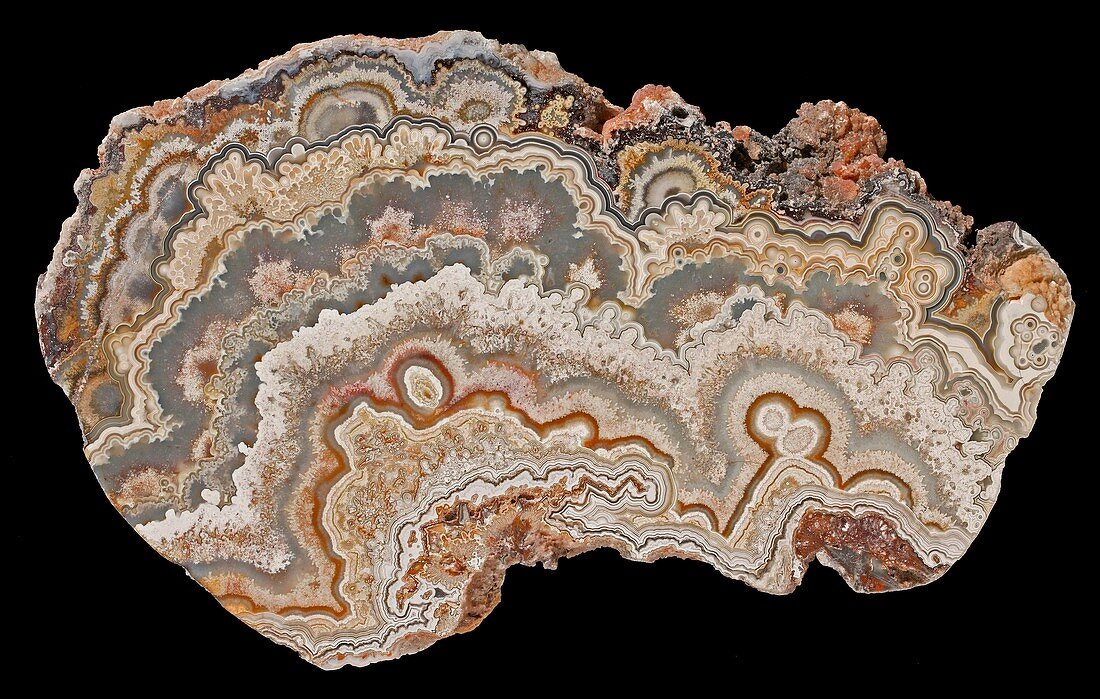 Bubble lace agate