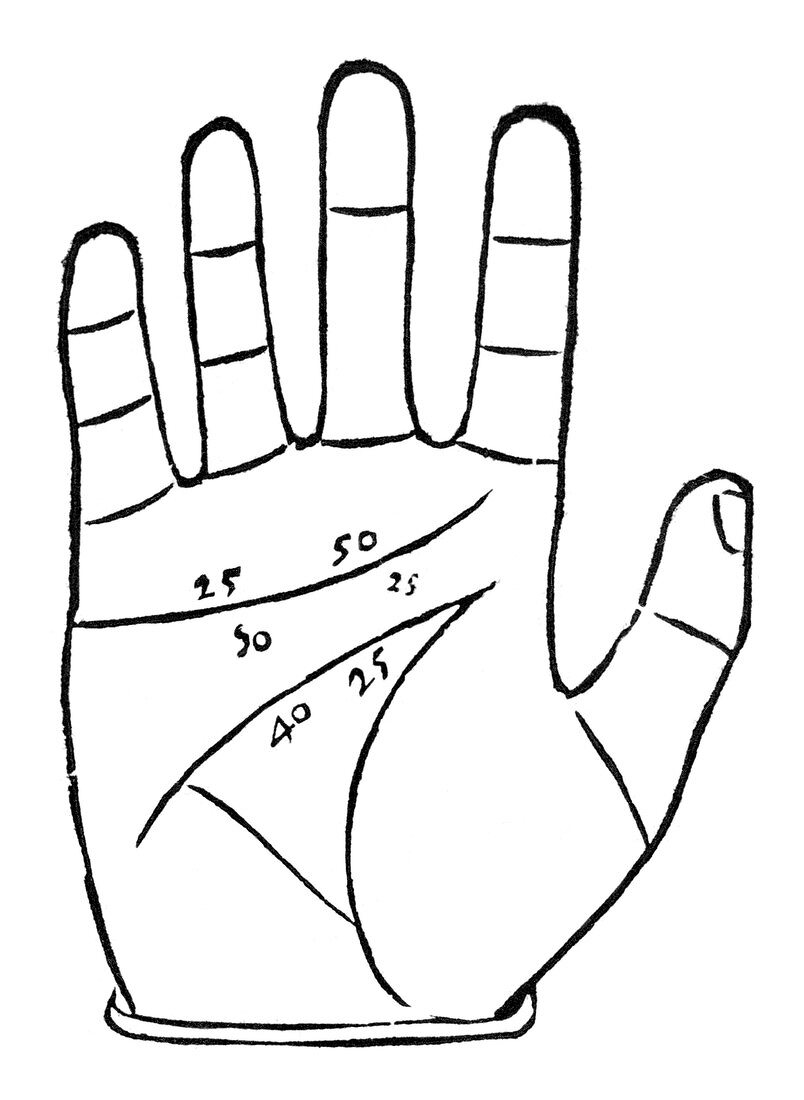 Diagram used in palmistry,16th century