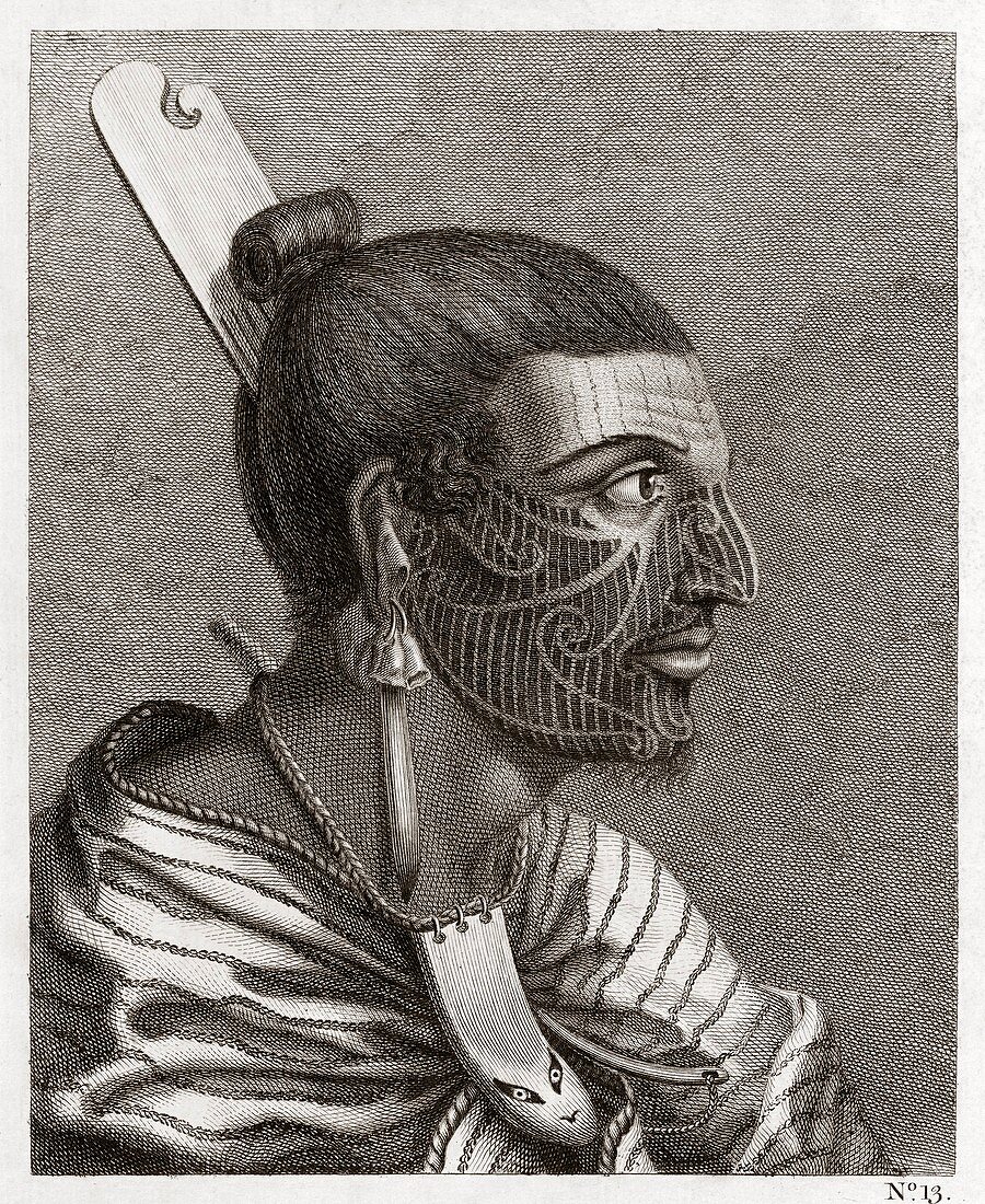 Maori man,profile,18th century