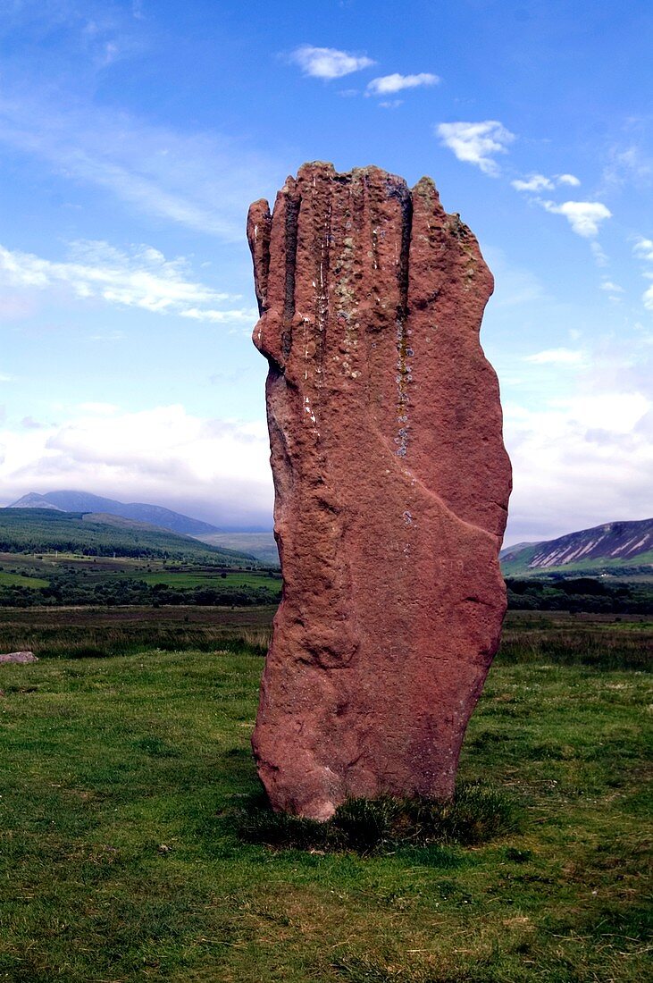 Standing stone in a field