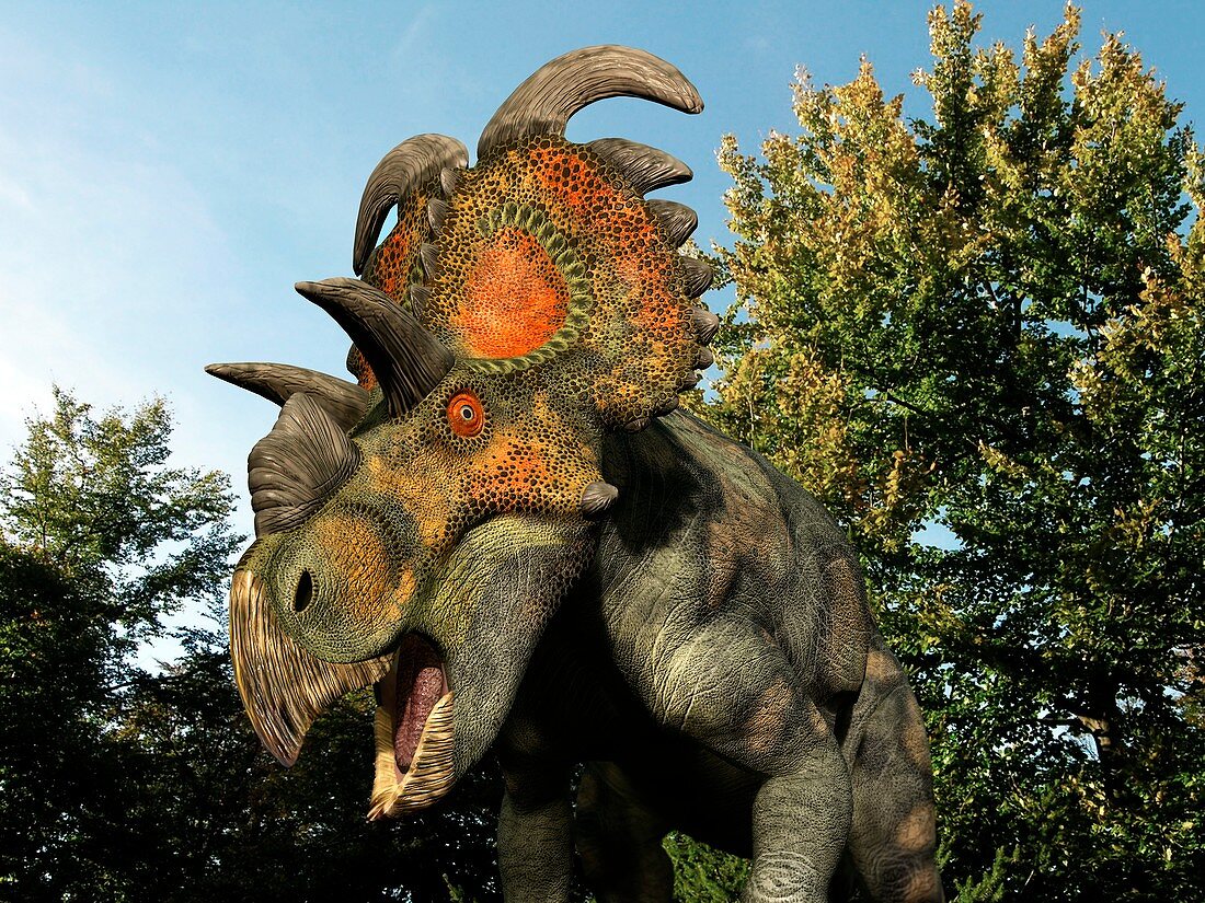 Albertaceratops dinosaur,artwork