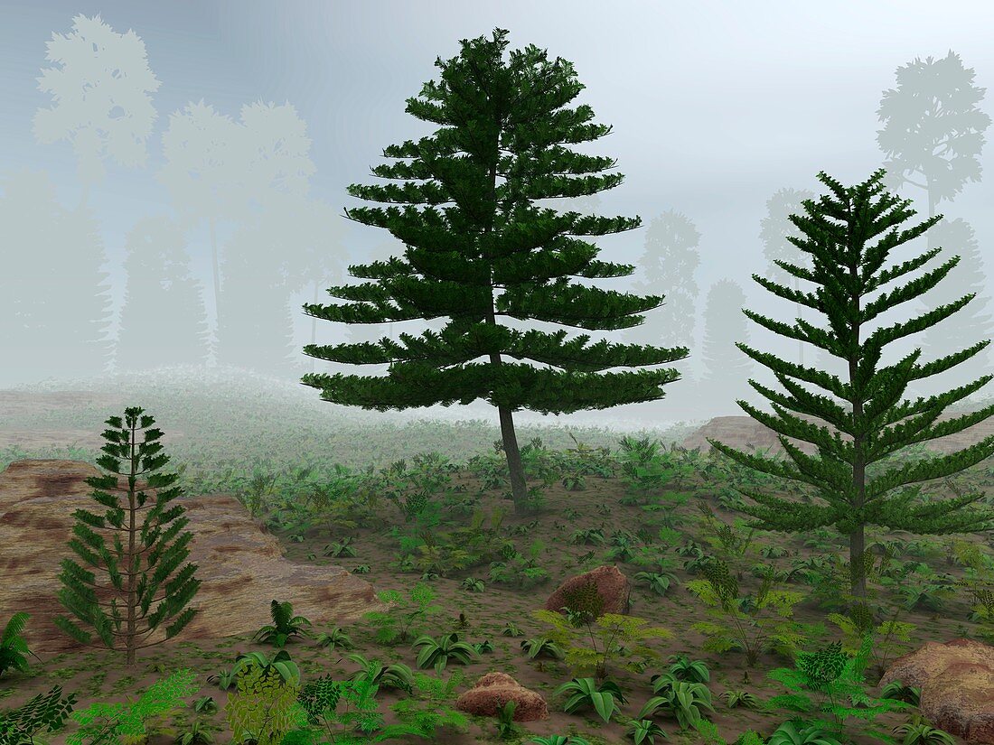 Prehistoric trees,artwork