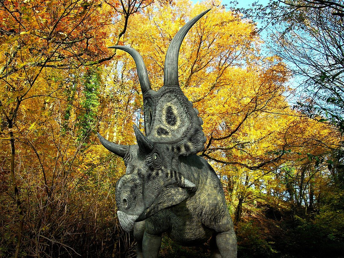 Diabloceratops dinosaur,artwork