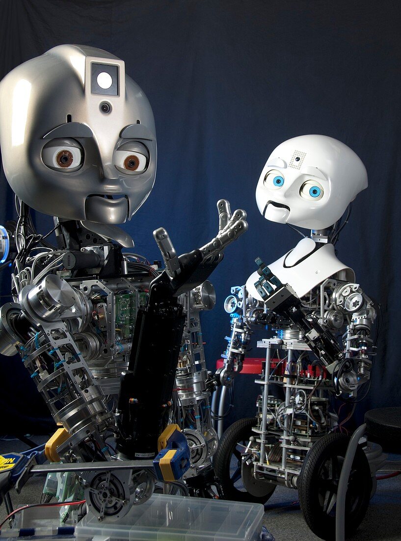 Humanoid social robots