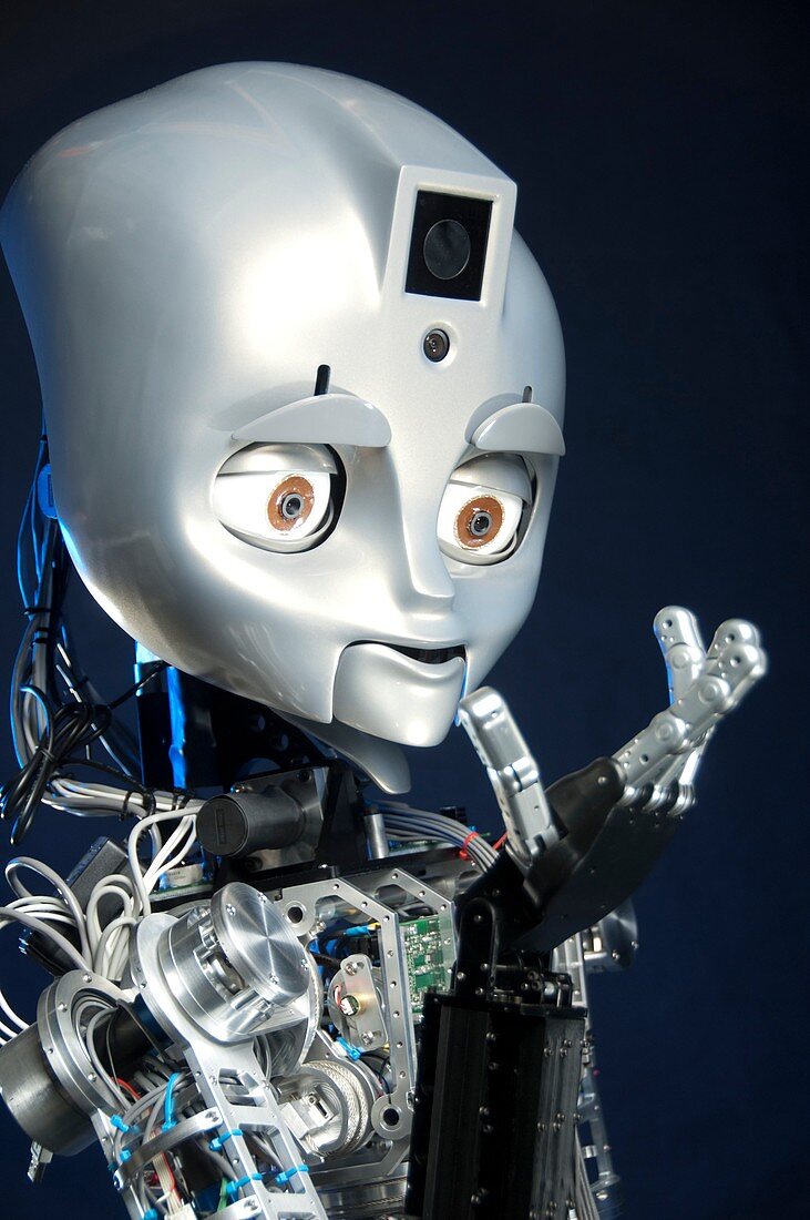 Humanoid social robot
