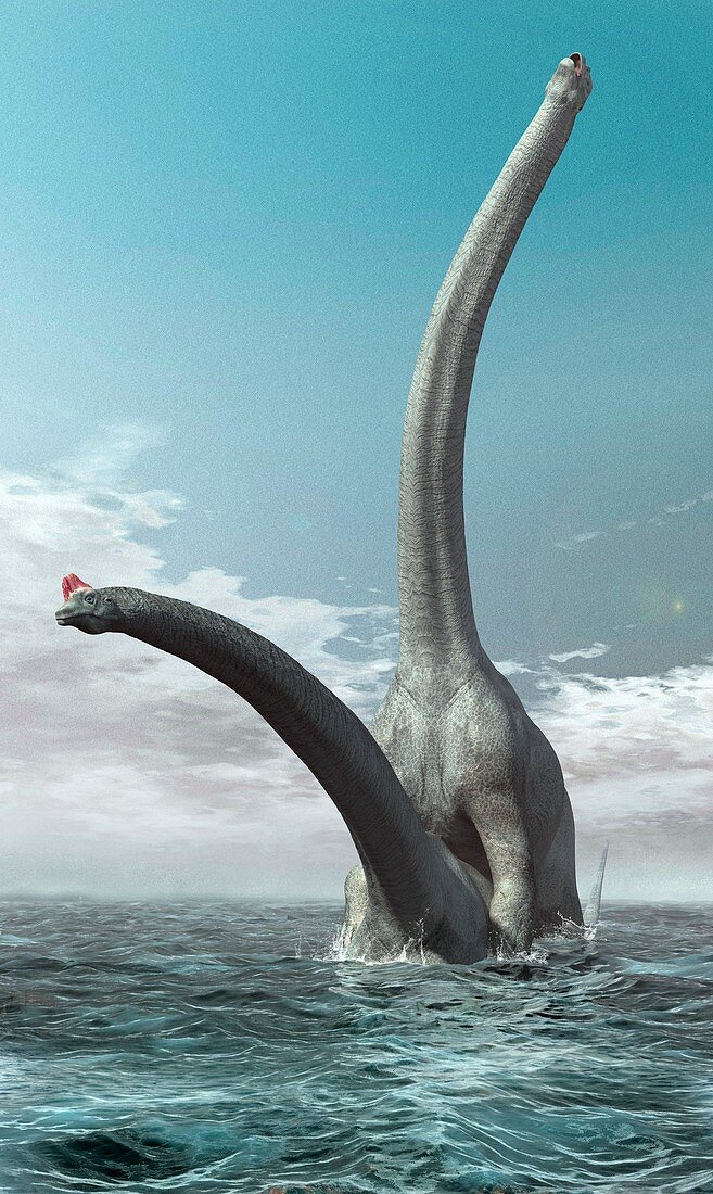 Sauroposeidon dinosaurs mating