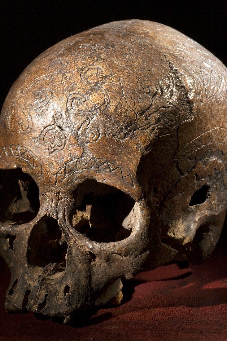 19th C. Carved dayak skull lethal wound