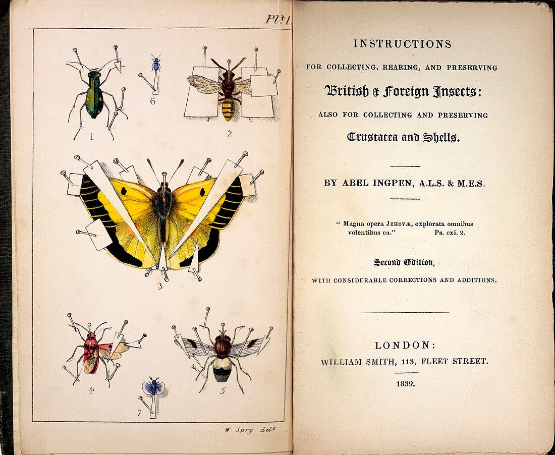 1827,1839,Collecting British Insects