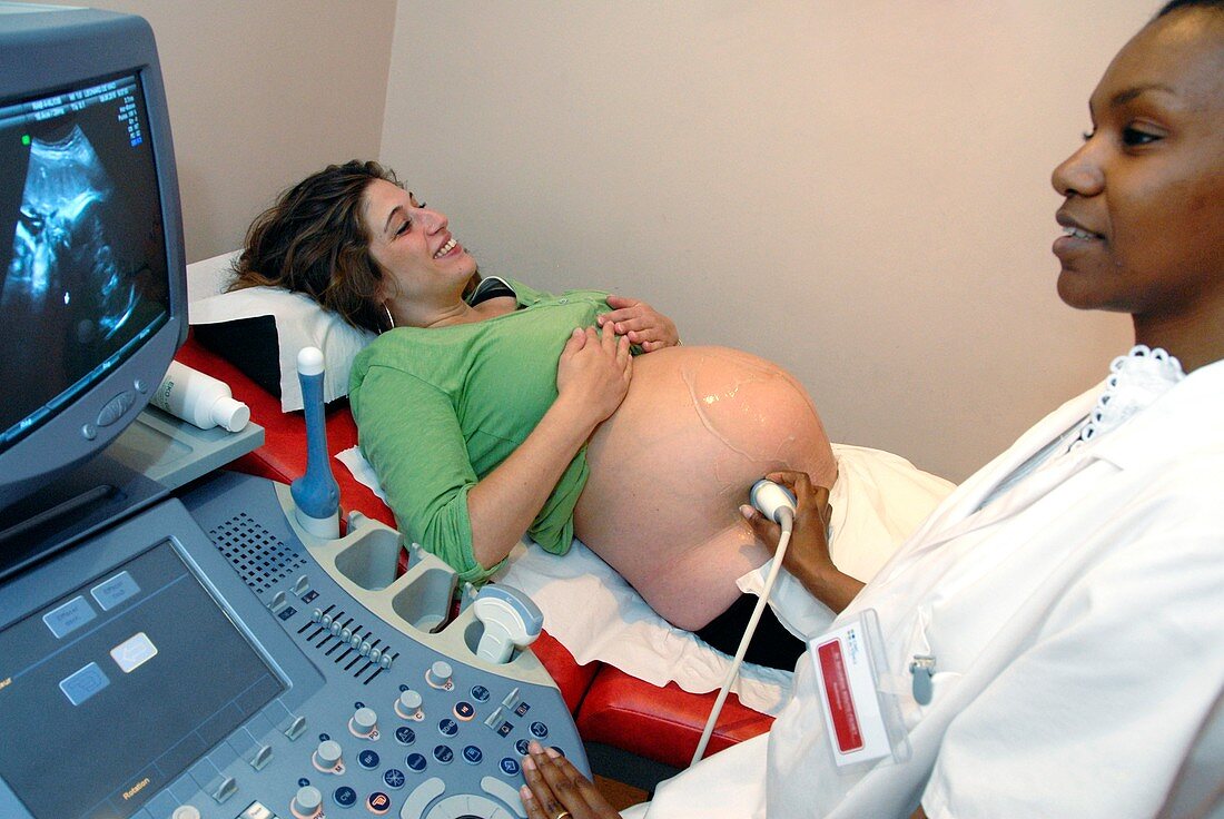 Pregnancy ultrasound scan