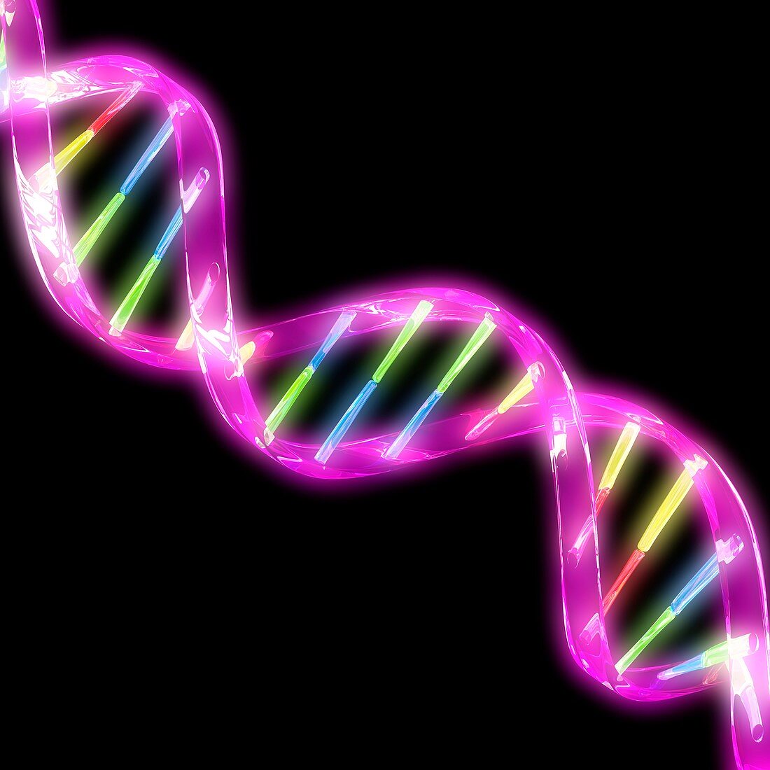 DNA molecule,artwork