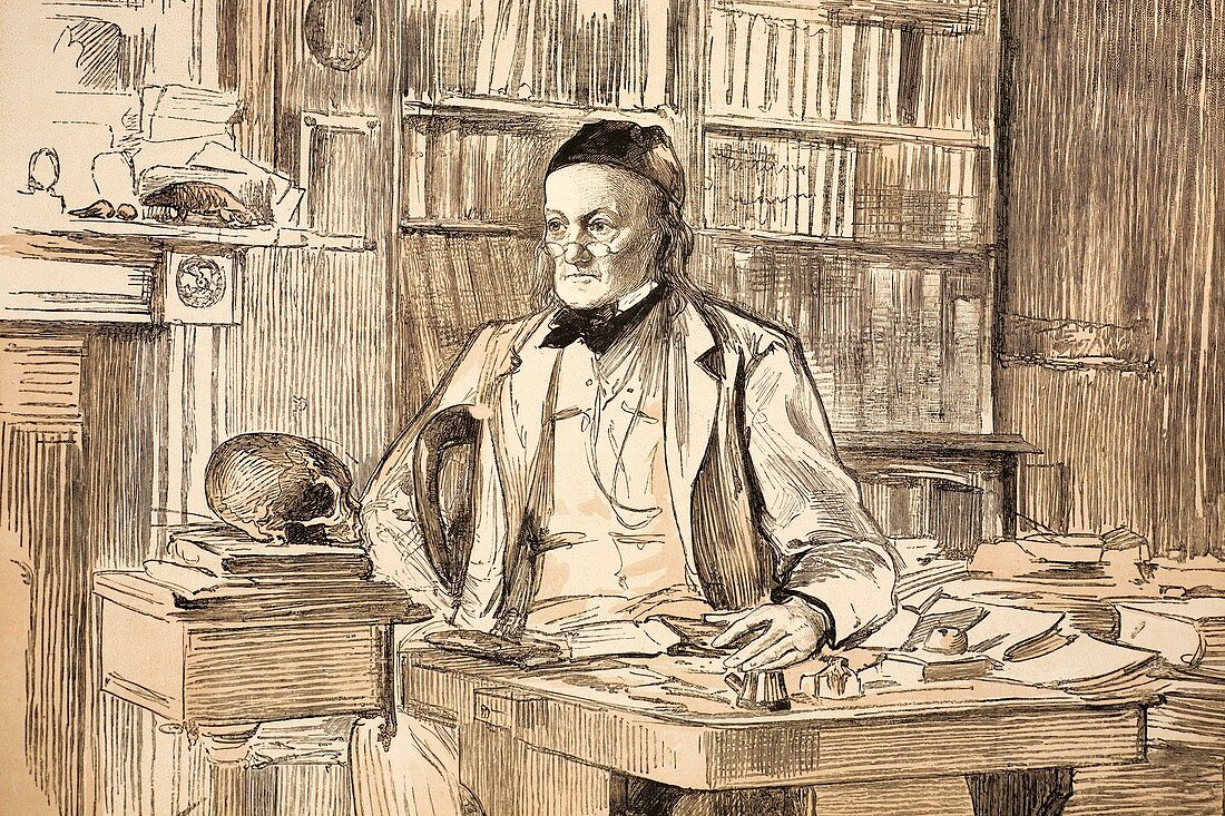 1883 Richard Owen's study ex BMNH