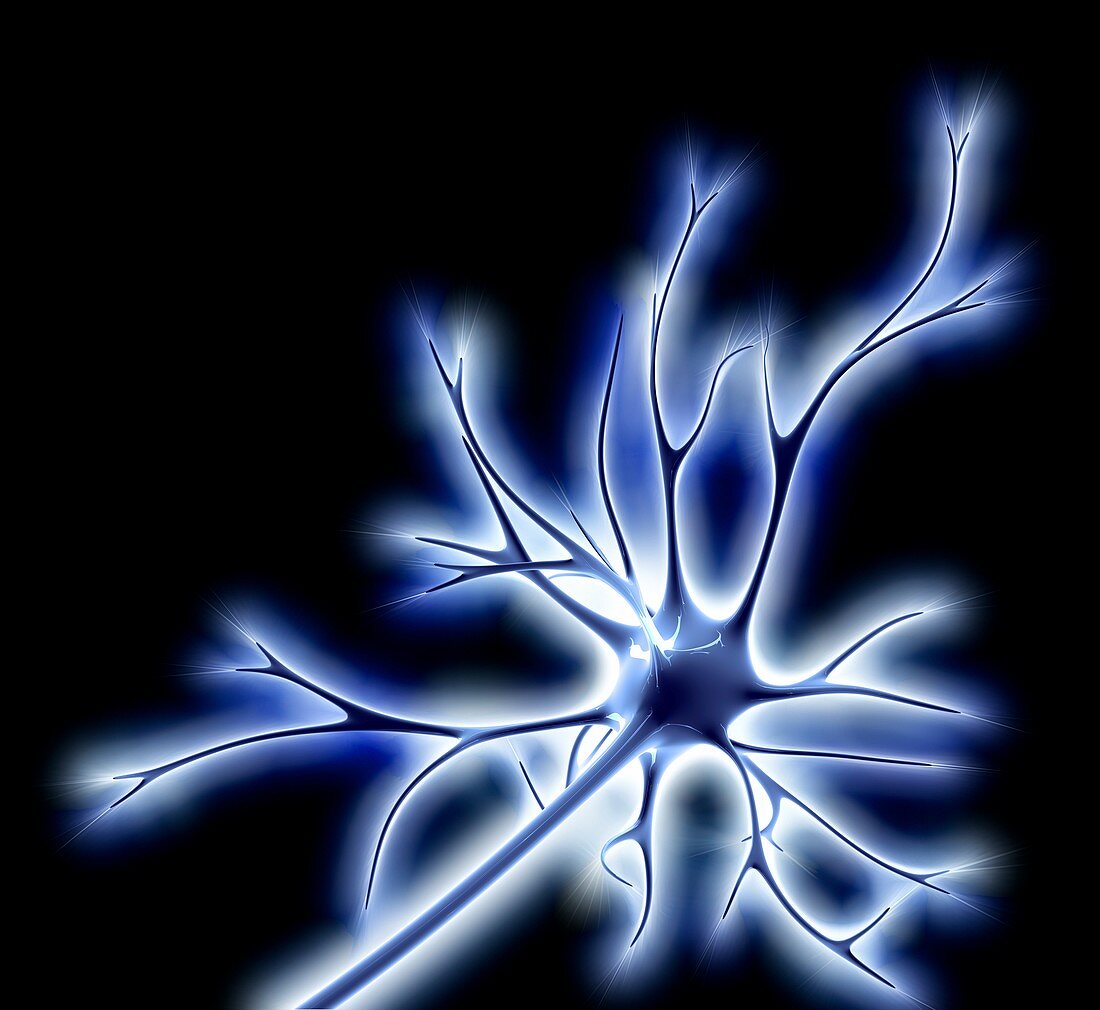 Nerve cell with electrical sparks