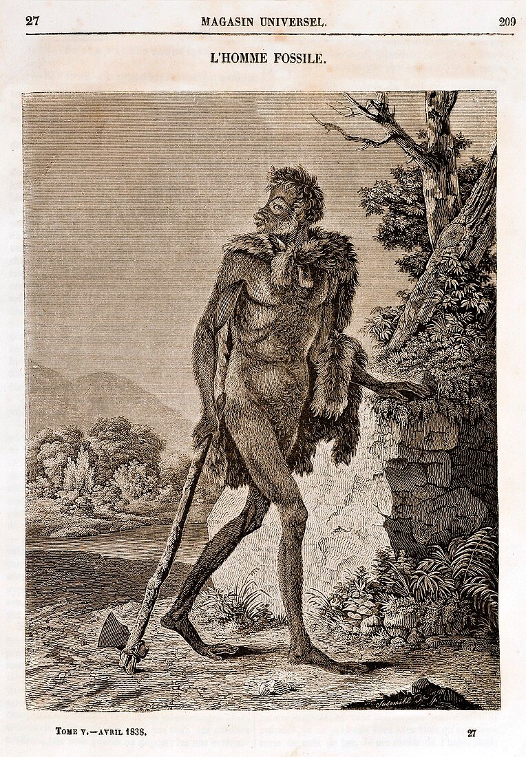 1838 Cave Man engraving 'L'Homme Fossile'