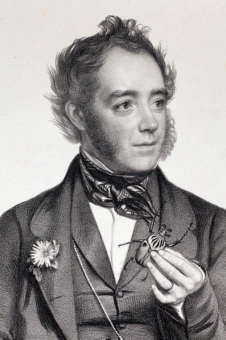 1849 John Obadiah Westwood entomologist