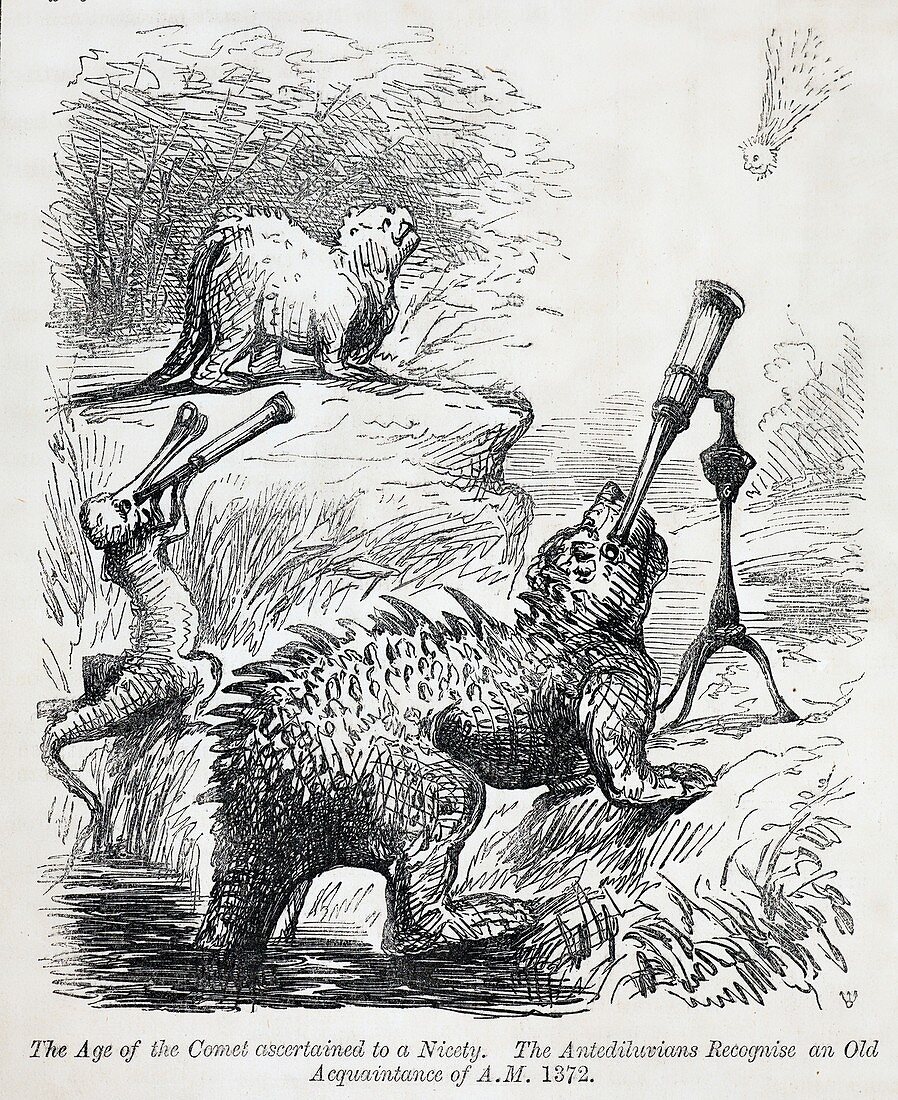 1861 Punch Dinosaurs & Comet cartoon