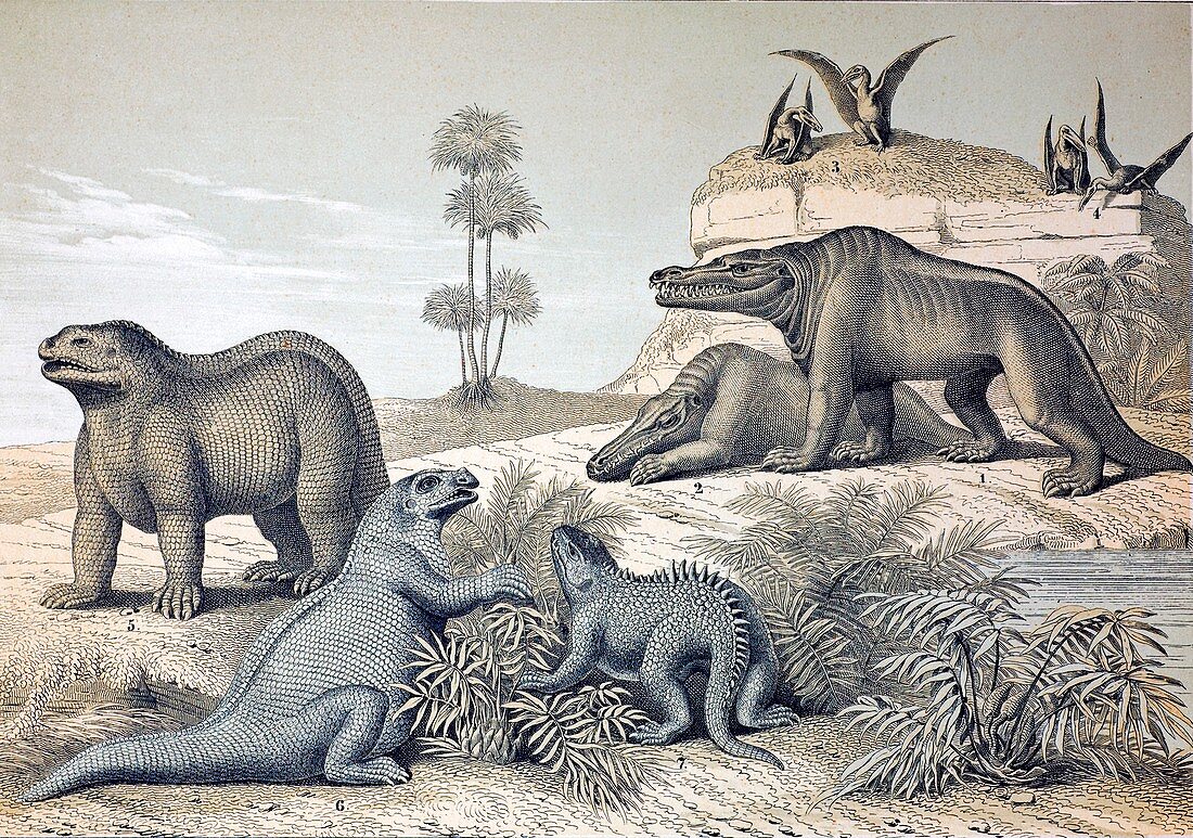1862 Dinosaurs and Pterosaurs